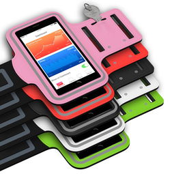 米兰体育网页版登录-智能体育设备用户行为分析，智能体育设施